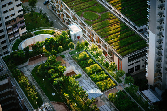Advancing Urban Agriculture for Food Secure Cities