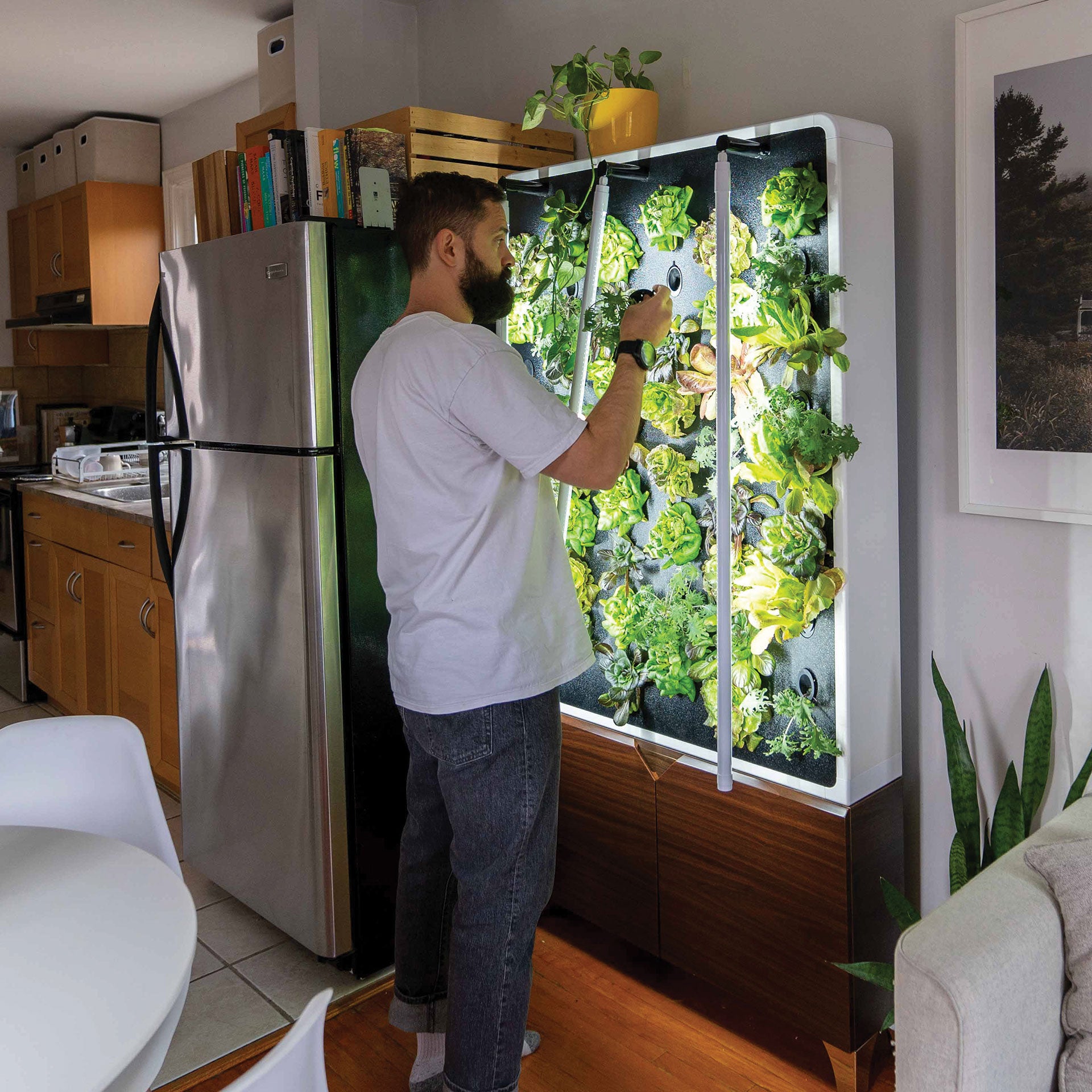 hydroponic plant wall The ECO Living Green Wall