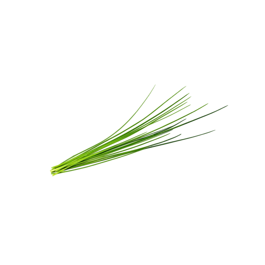 Fresh grown Chives in a hydroponic indoor garden, perfect for culinary enthusiasts.