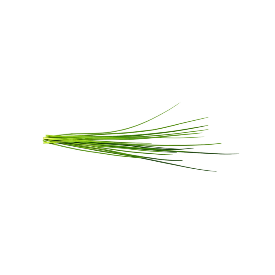 Fresh grown Chives in a hydroponic indoor garden, perfect for culinary enthusiasts.