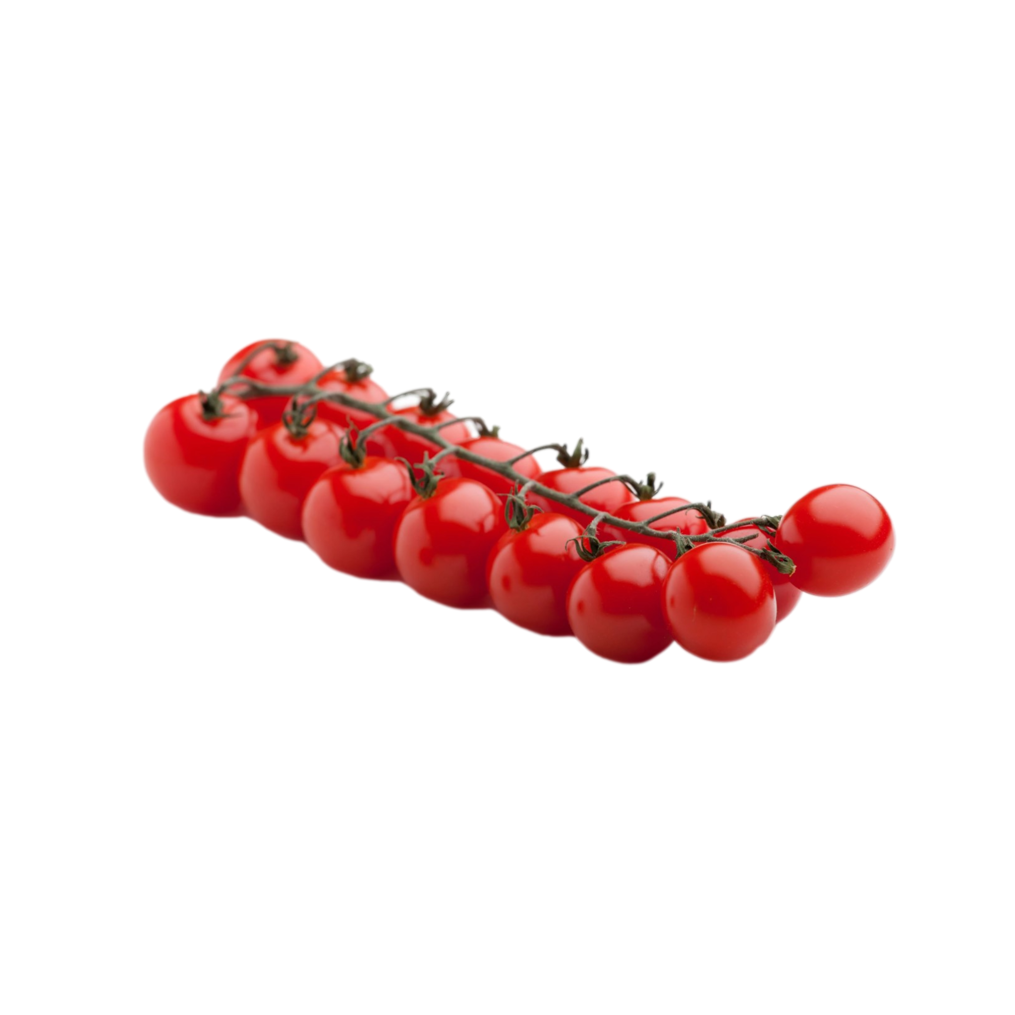 【tomato】 🍅 Fresh from the farm to your table! Grab a 6kg box of delicious