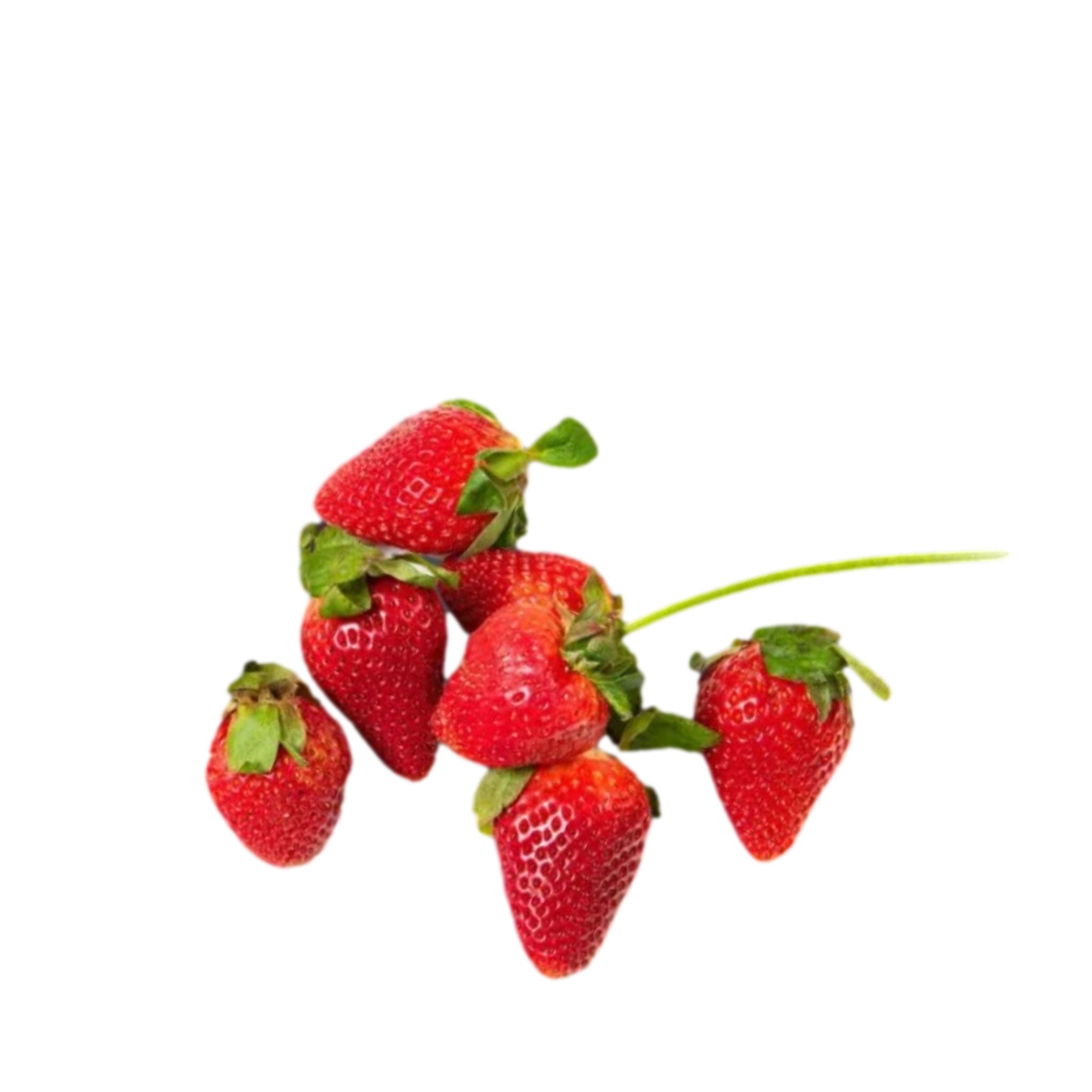 hydroponic strawberry seeds Dwarf Strawberry Seeds - Everbearing Indoor Variety