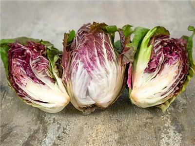 radicchio la rosa del veneto seeds Rossa Di Verona Radicchio Seeds - Heirloom Variety