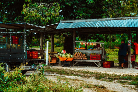 Why We Love Buying From Farmstands