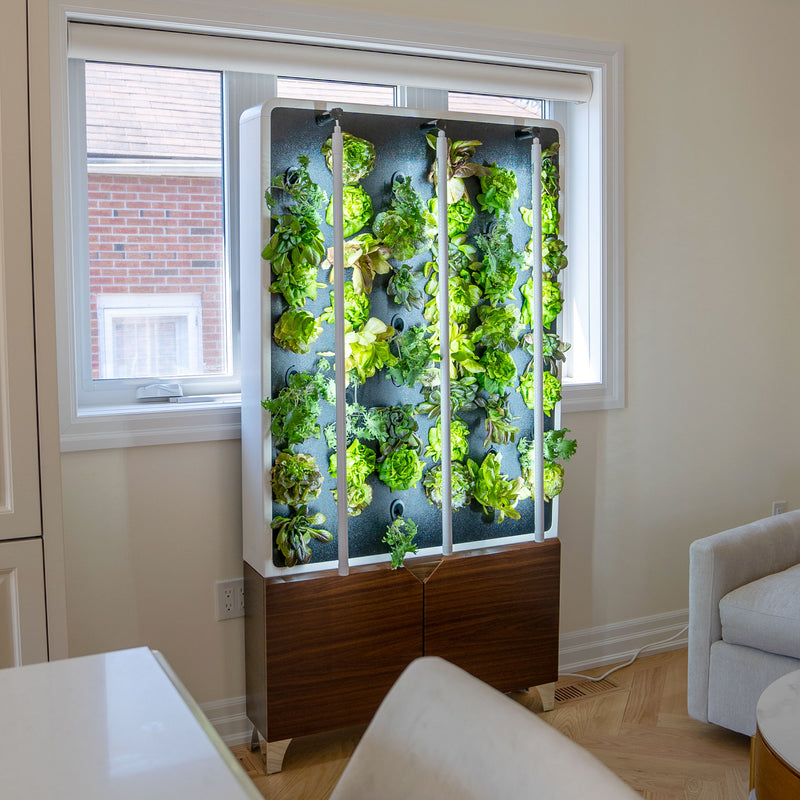 ECO Living Green Wall