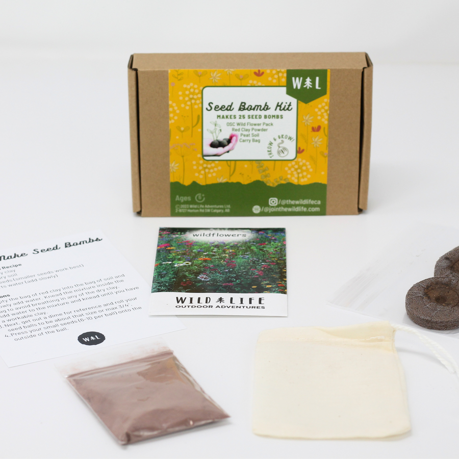 DIY Seed Bomb Kit - World Earth Day Special