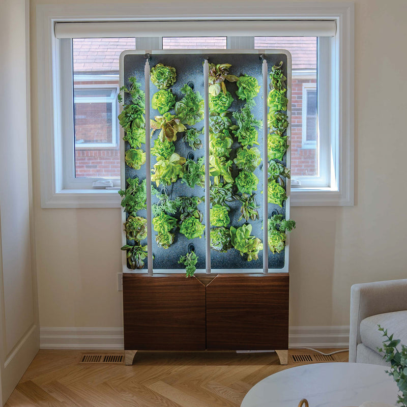 ECO Living Green Wall