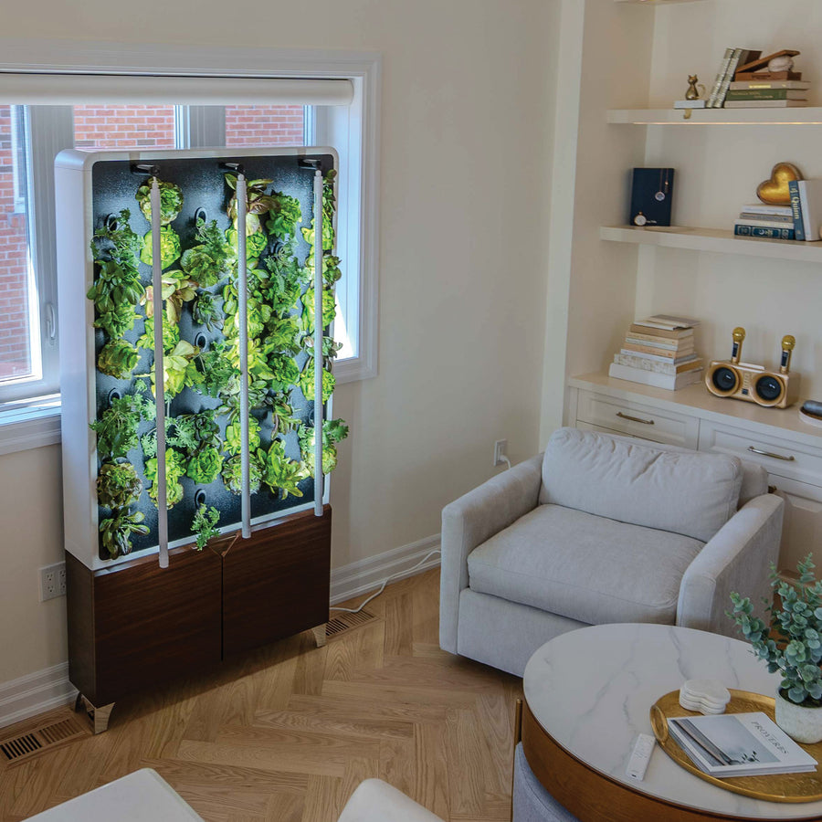 The ECO Living Green Wall