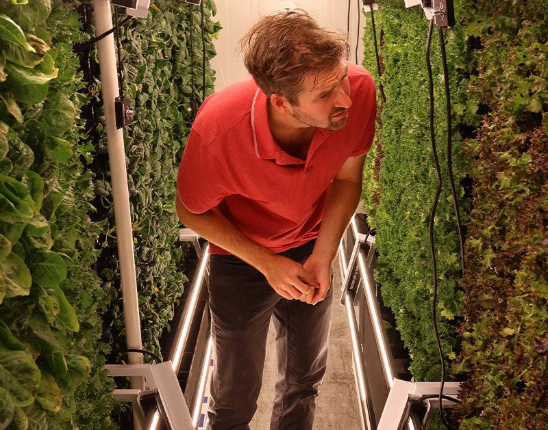 Climate-controlled vertical farming system with automated irrigation