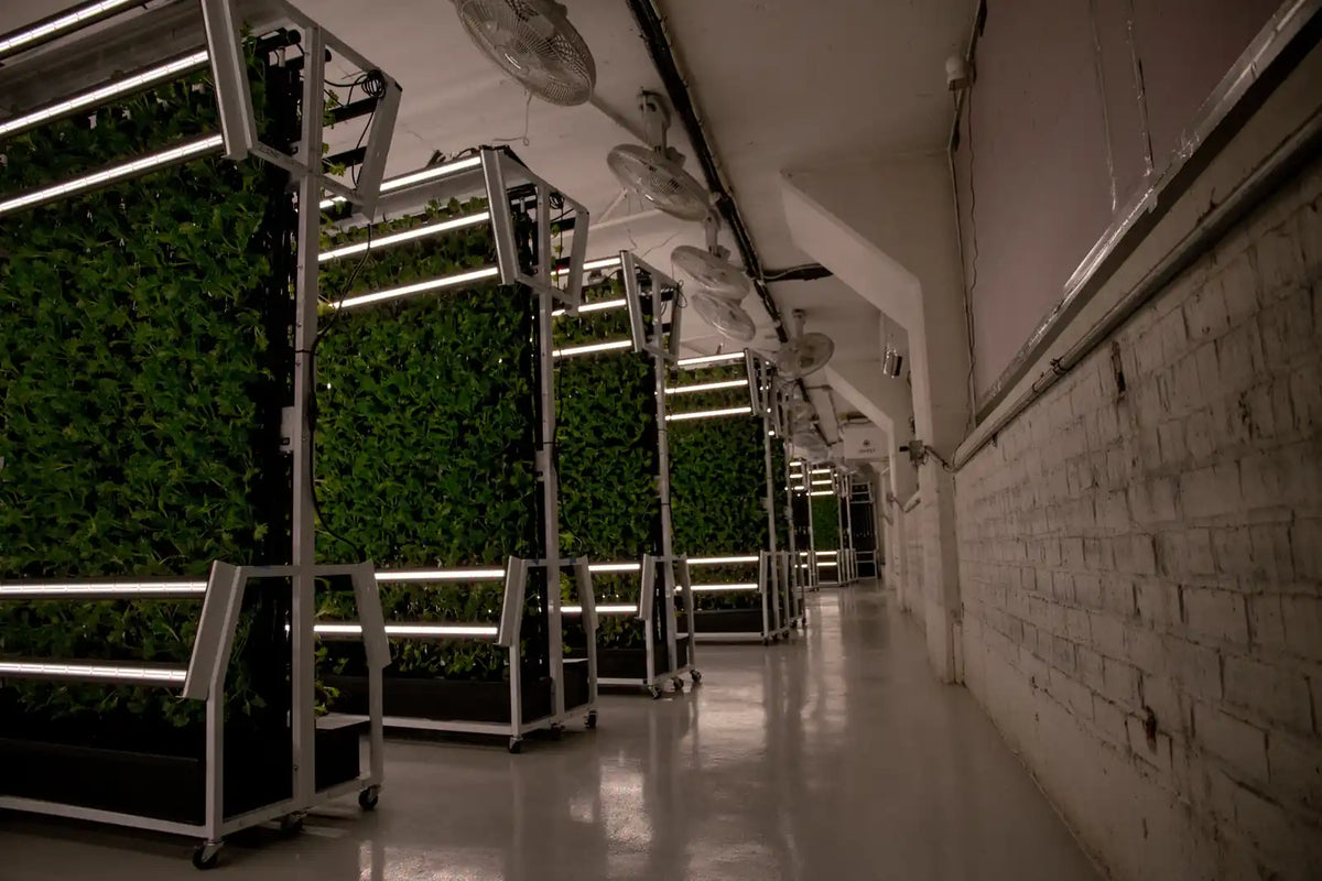 Community Growers