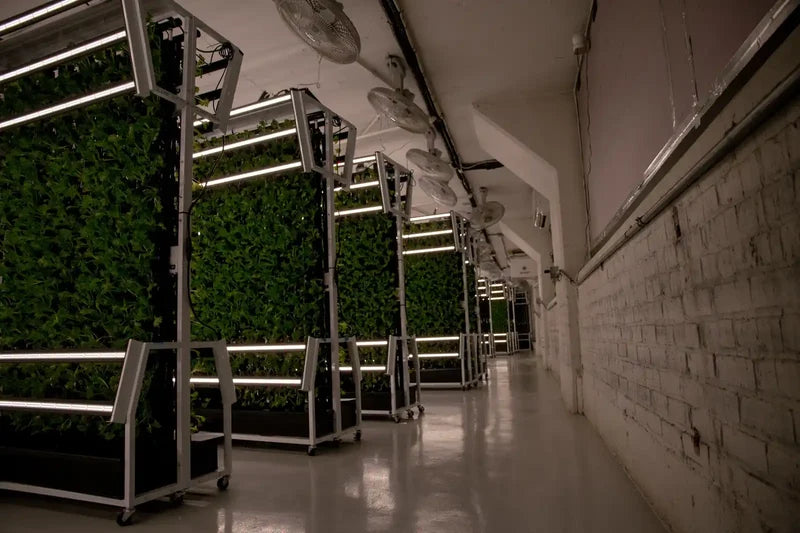 Custom Indoor Farm