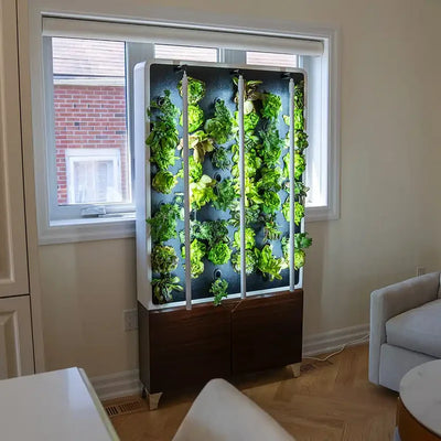 The ECO Living Green Wall