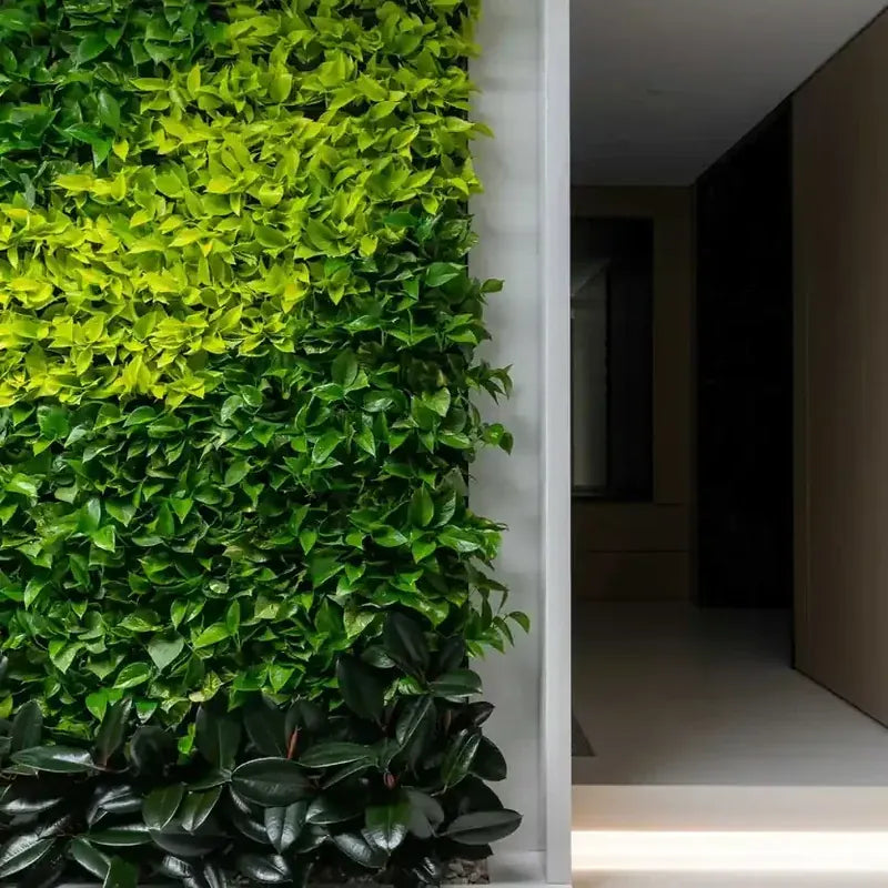 Tropical Green Wall