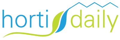 Company name