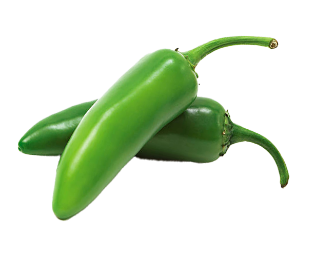 Just Vertical Jalapeno Pepper seeds - great for hydroponics.