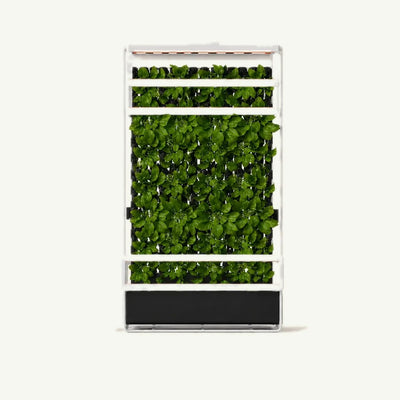 Free Standing Grow Rack