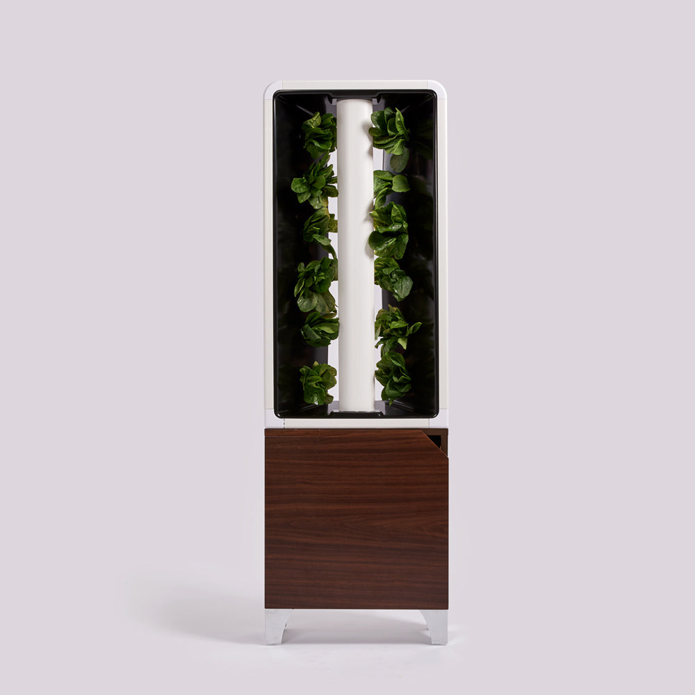 1-New-Product-Images-EVE-