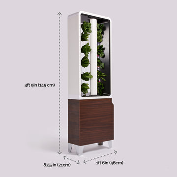 The EVE Tower Garden