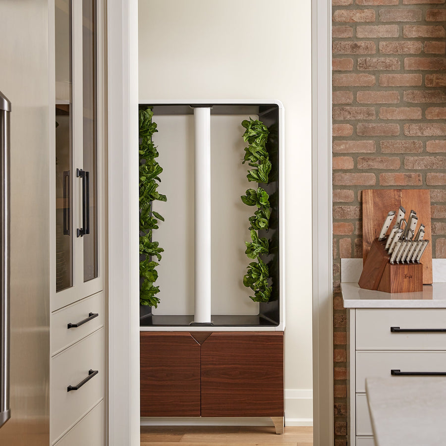 Space-efficient indoor farm producing organic vegetables year-round