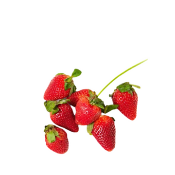 mini strawberry seeds Dwarf Strawberry Seeds - Everbearing Indoor Variety