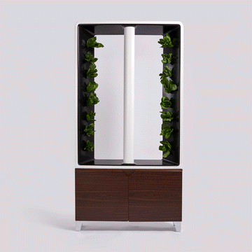New-Product-Images-AEVA-