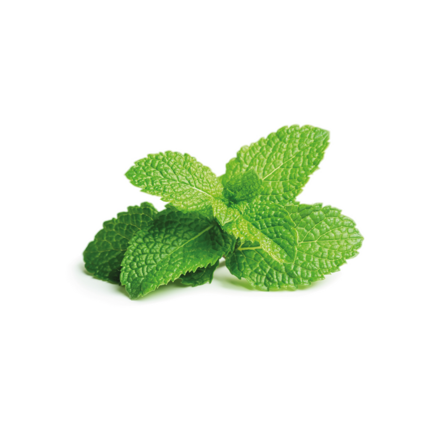 Peppermint 4-Pack